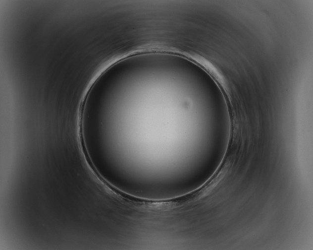 X0000095131390200712141148