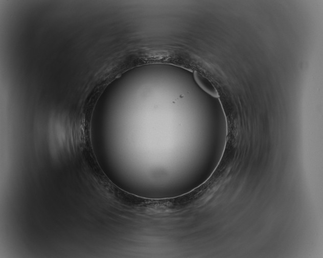 X0000095131394200712141147