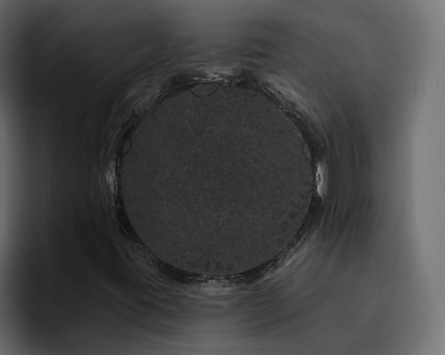 X0000095131395200712141147