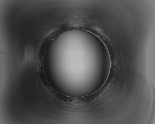 X0000095131398200712141147