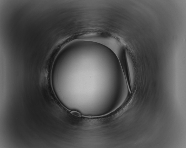 X0000095131402200712141147