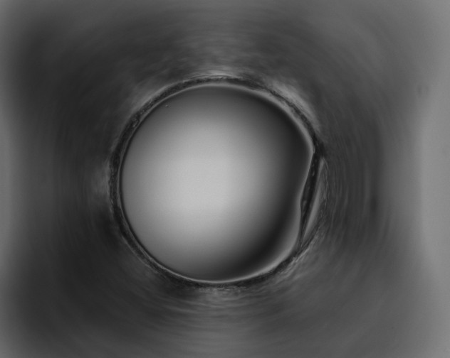 X0000095131404200712141147