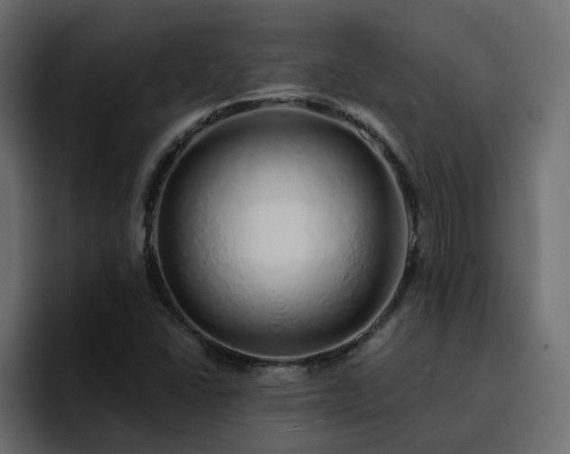 X0000095131406200712141147