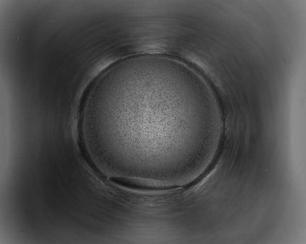 X0000095131410200712141147