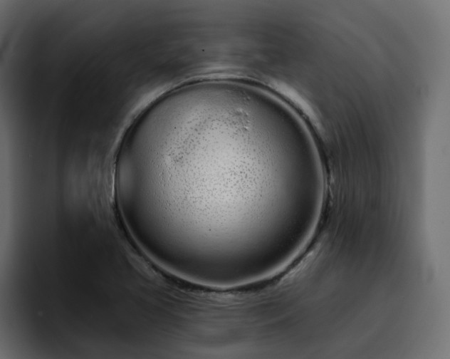 X0000095131413200712141147