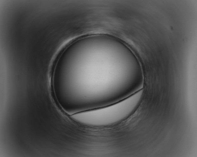 X0000095131416200712141147