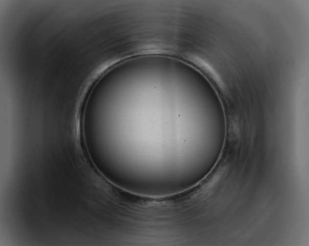 X0000095131419200712141147