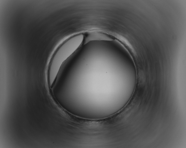 X0000095131424200712141147