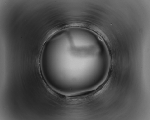 X0000095131425200712141147