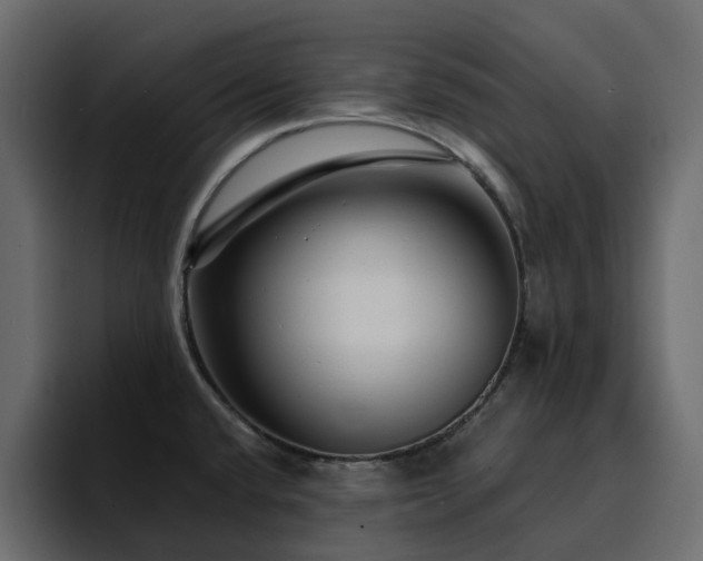 X0000095131432200712141147