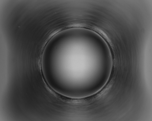 X0000095131433200712141147