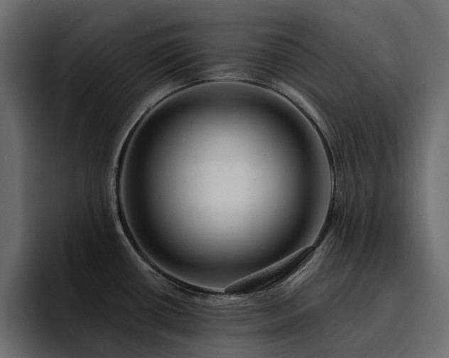 X0000095131434200712141147