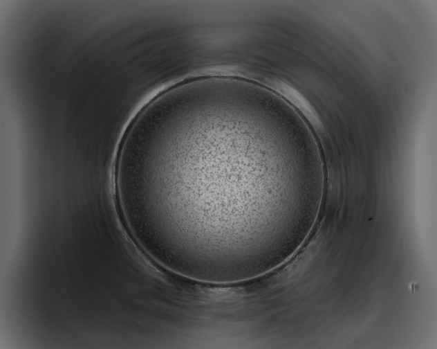 X0000095131436200712141147