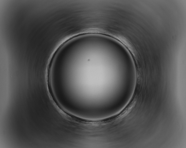 X0000095131438200712141147