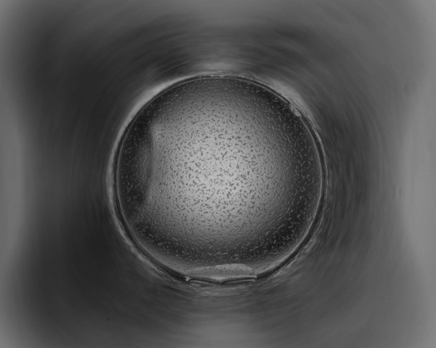 X0000095131440200712141147