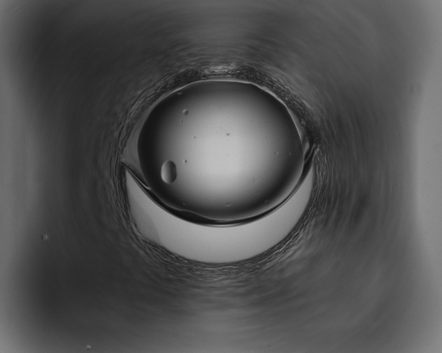 X0000095131441200712141147