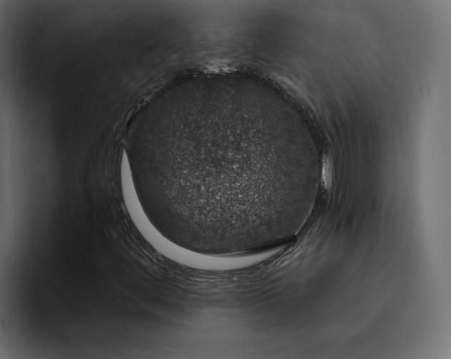 X0000095131444200712141147