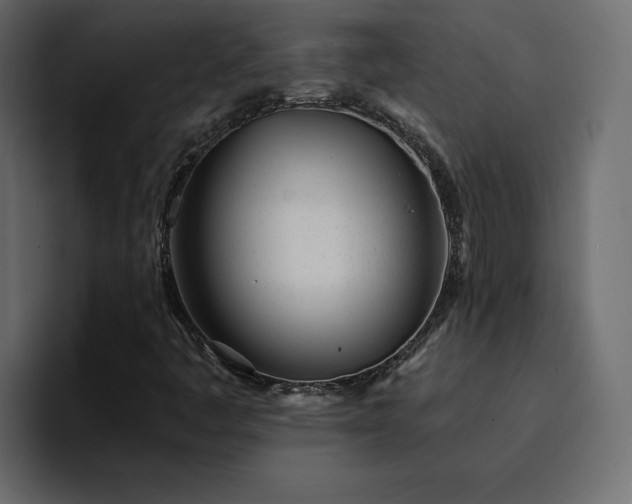 X0000095131445200712141147