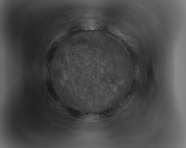 X0000095131446200712141147