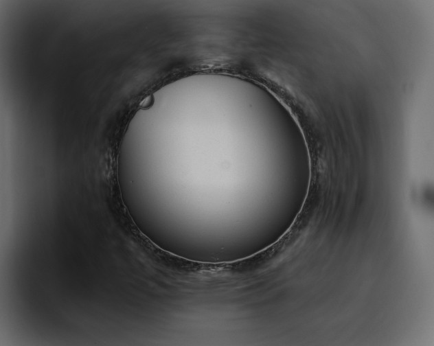 X0000095131447200712141147