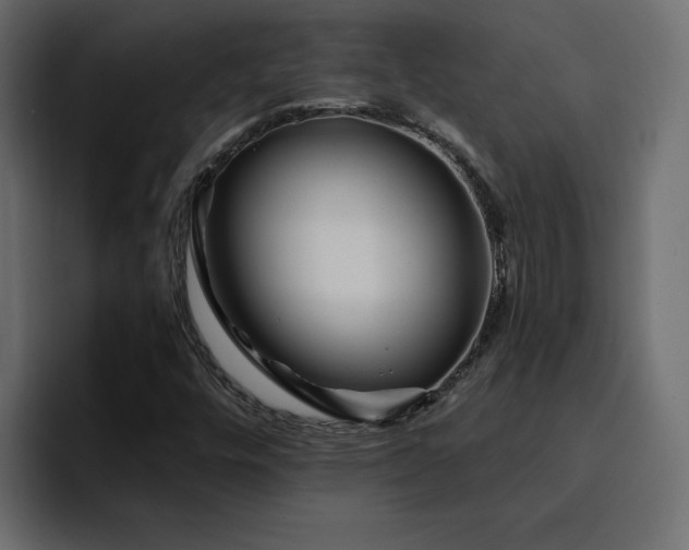 X0000095131448200712141147