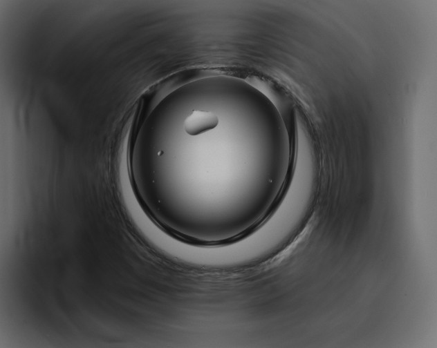 X0000095131449200712141147