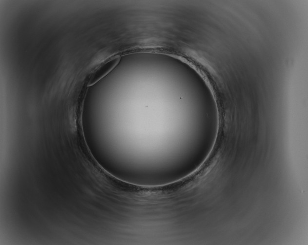 X0000095131451200712141147