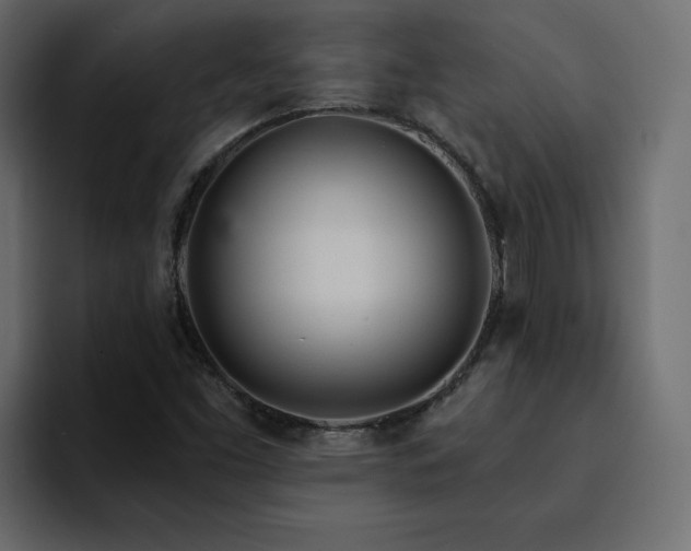 X0000095131453200712141147