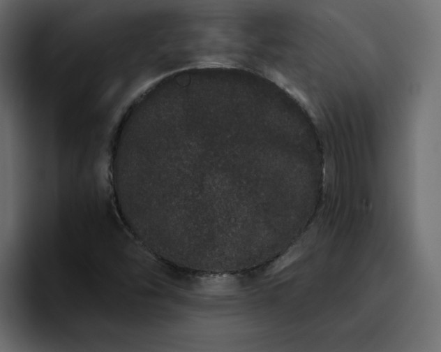 X0000095131454200712141147