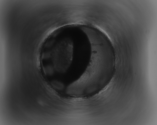 X0000095131455200712141147