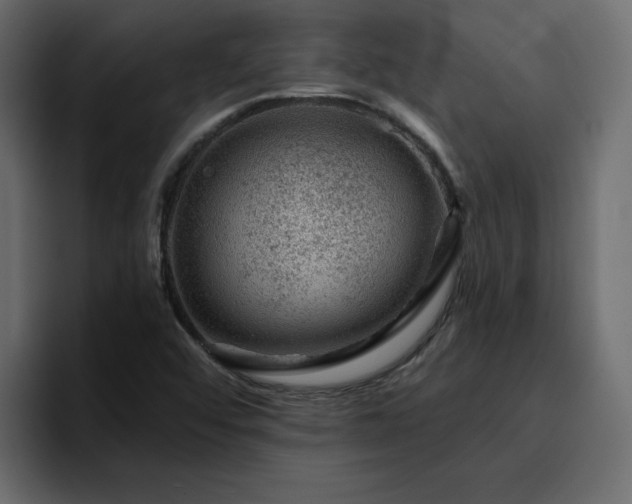 X0000095131456200712141147