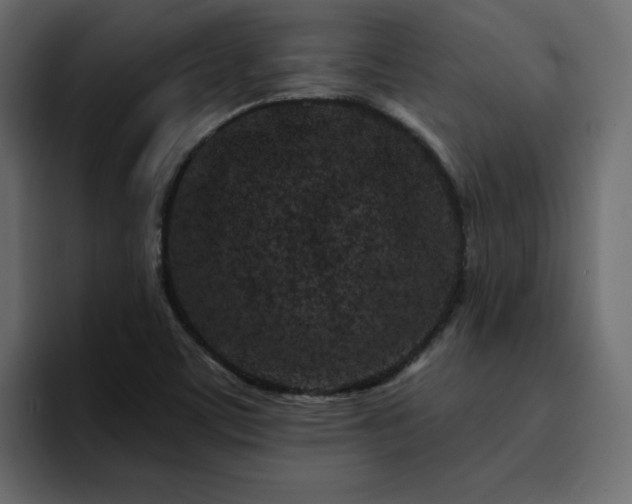 X0000095131459200712141146