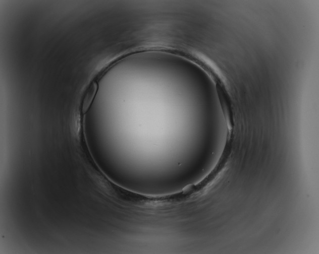 X0000095131461200712141146