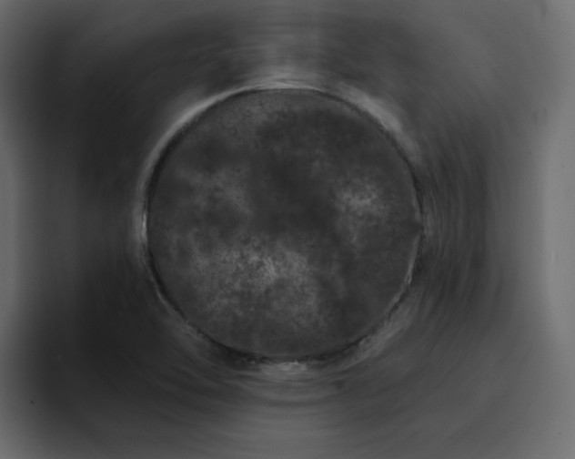 X0000095131462200712141146