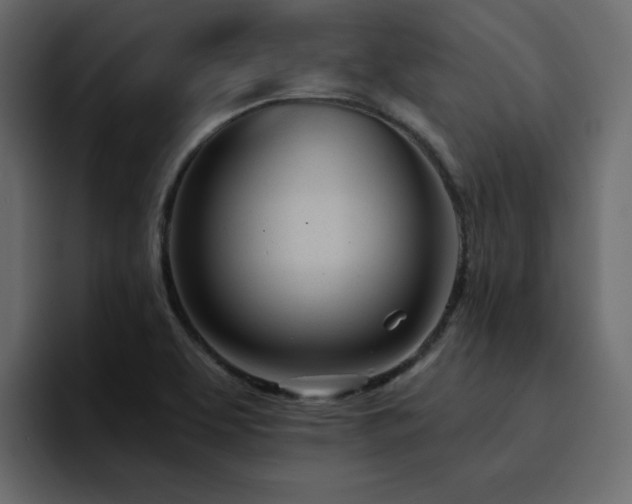 X0000095131463200712141146