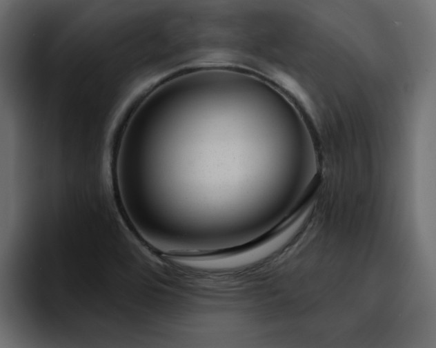 X0000095131464200712141146