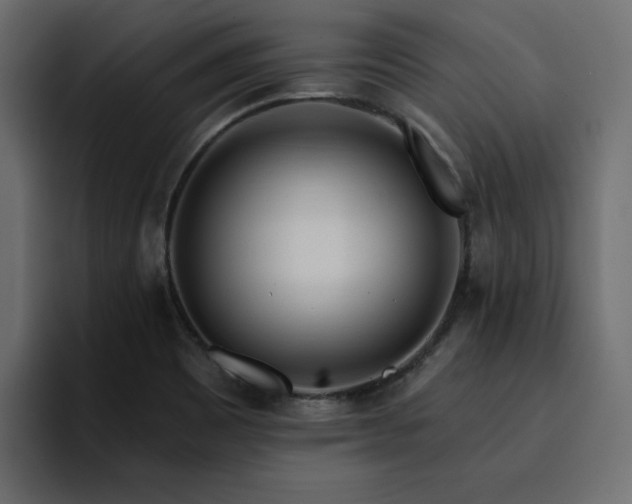 X0000095131465200712141146