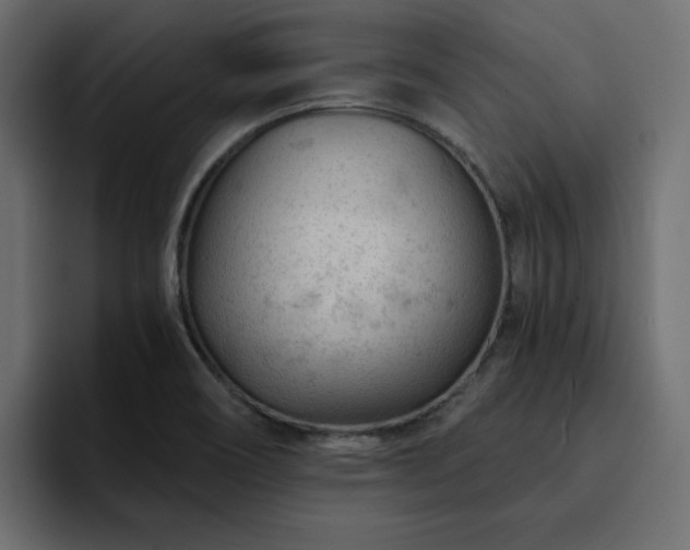 X0000095131466200712141146