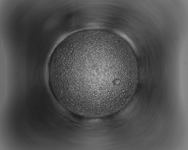 X0000095131467200712141146