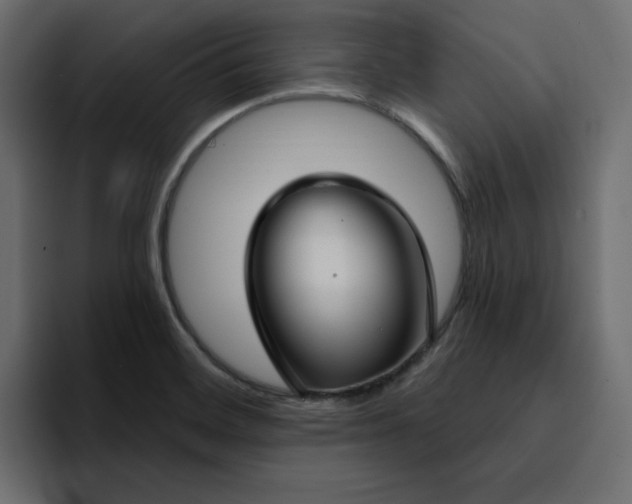 X0000095131468200712141146