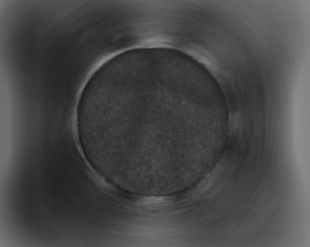 X0000095131470200712141146