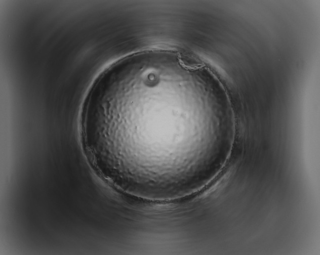 X0000095131471200712141146