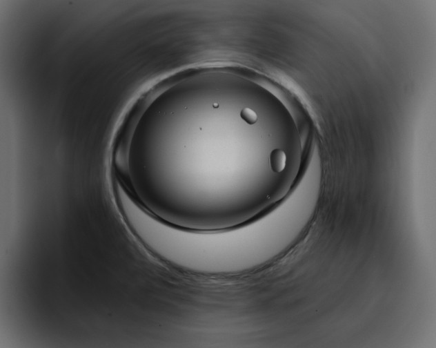 X0000095131472200712141146