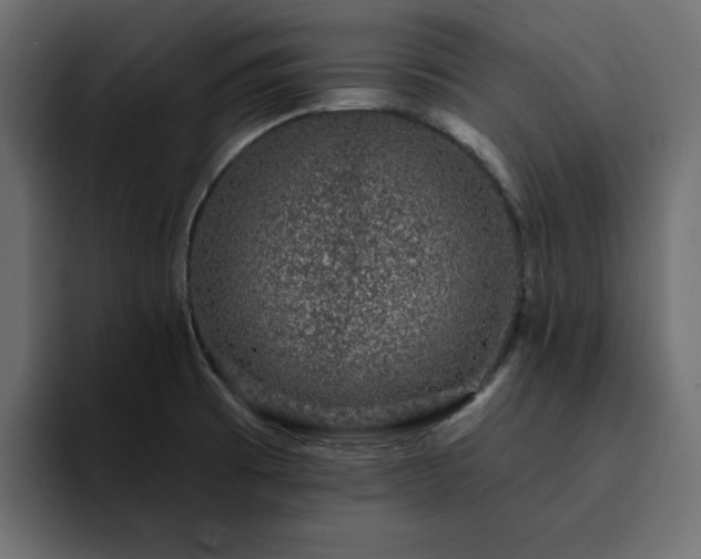 X0000095131473200712141146