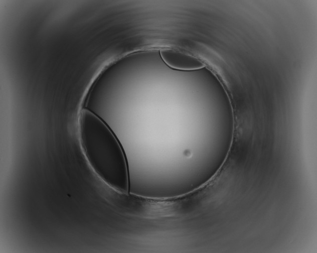 X0000095131475200712141146