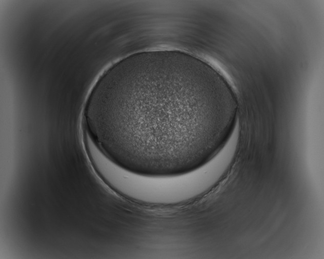 X0000095131476200712141146