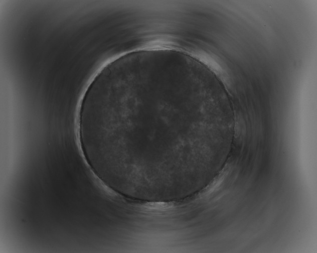 X0000095131478200712141146