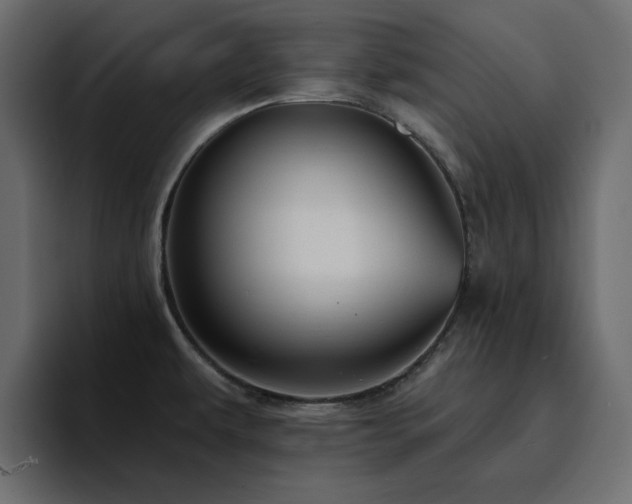 X0000095131479200712141146