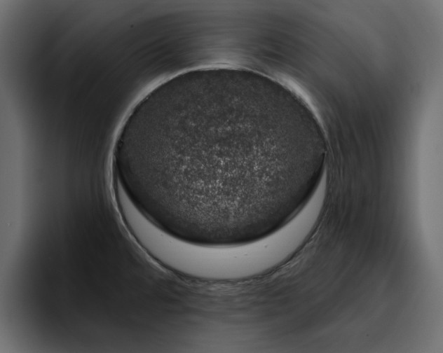 X0000095131480200712141146