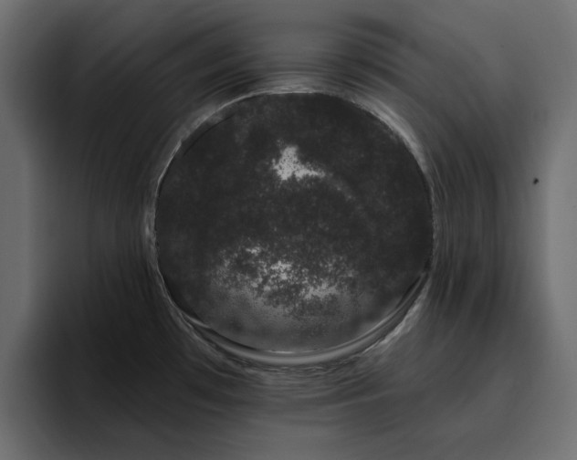 X0000095131481200712141146